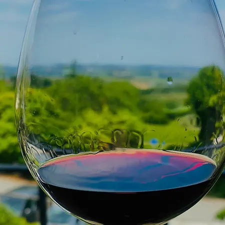 Ca Dei Sogni Della Dimora Belloni Dal 1887 Nel Monferrato 住宿加早餐酒店 Altavilla Monferrato