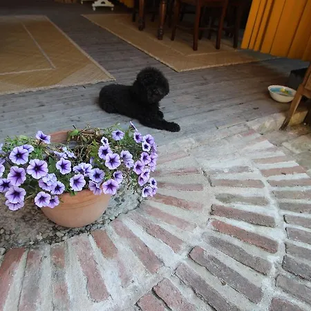 Ca' Dei Sogni Della Dimora Belloni Country House *